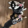Jillybean - @jill_cuevas - TikTok