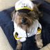 Jill Cutler - Facebook