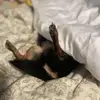 jilldailey - @jilldailey - TikTok