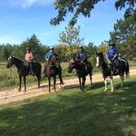 Jill Danner - @jill.danner.1 - Instagram