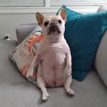 Jill Darrah - @jilldarrah - Instagram