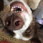 Jillian Deatherage - @jilliandeath2009 - Instagram