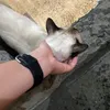 jilldeesuuu - @jilldeesuuu - TikTok