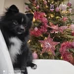 💙Born 27/08/2021 - @jill_dellisola_di_marnad_ - Instagram