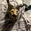 Jill Demoss - @jill.demoss5 - TikTok