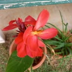 Jill Denton - Facebook