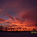 Jill DeSimone - Facebook