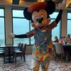 Jill_Disney - @jill_disneylove - TikTok