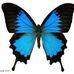 Jillian Dobbs - Facebook