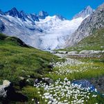 Jill Dodd - @jilldoddtravelbug - Instagram