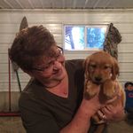 Jill Dodds - @jill_dodds_adventures - Instagram