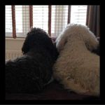 Jill Dodds - @jillydodds1978 - Instagram