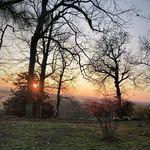 Jill Dodson - @jill.dodson.315 - Instagram