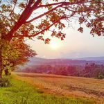 Jill M. Dodson - @jilldodsonphotography - Instagram