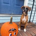 Jill Donovan - @jill_e_bean76 - Instagram