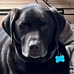 Jill Doucette Plourde - Facebook