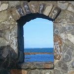 Jill Dove - @jilldove1 - Instagram