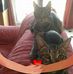 Jill Downes - Facebook