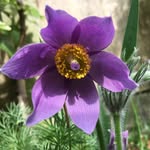 Jill Downes - @jilldownesd - Instagram