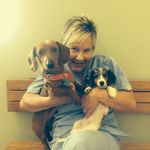Jill Arnholt Downs - @jill_arnholt_downs - Instagram