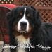 Jill Downs - Facebook