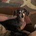 Jill Downs - Facebook
