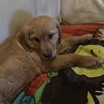 JillDrew - @jilldrew46 - Instagram
