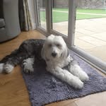Jill Duffy - @jillduffy3258 - Instagram
