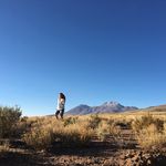 Jill Duffy - @jill.duffy.studio - Instagram