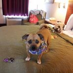 Jill Dugger - Facebook