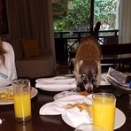 Jill Dugger - Facebook