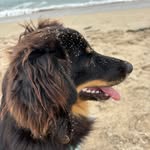 Jill Duran - @jillduran72 - Instagram