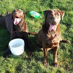 Jill Durham - @roscoe.fletcher.5 - Instagram