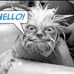 Jill Barger-Earnhardt - Facebook