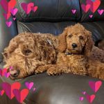 Jill Boger Earnhardt - @jill.b.earnhardt - Instagram