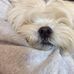 Jill Roxanne Barger-Earnhardt - Facebook