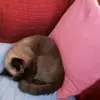 jillebert1 - @jillebert1 - TikTok
