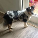 Jill Eccleston - @jbeccle - Instagram