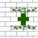 Jill Eckenrode - @tribalmeds - Instagram