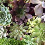 Jill Edmonds - @edmonds5554 - Instagram