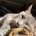 Jillian Eicher - Facebook