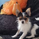 Jill Erwin Bumpus - @iamjillybeans - Instagram