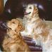 Jill Eshleman Rice - Facebook
