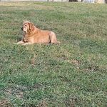 Jill Evenson - @jill.evenson.7 - Instagram