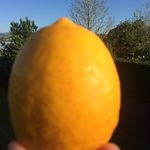 Jill Falconer - @jill_falconer152018 - Instagram