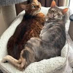 Jill Ferris Hamilton - @jillhamilton_1999 - Instagram