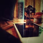 Jill Flower - @jillflower.iphone.1aday - Instagram