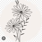 Jill Roeland - @jill_flower_power - Instagram
