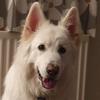 Jill Foote - @jill.foote - TikTok