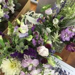 Jill Friedlander - @friedlanderjill - Instagram